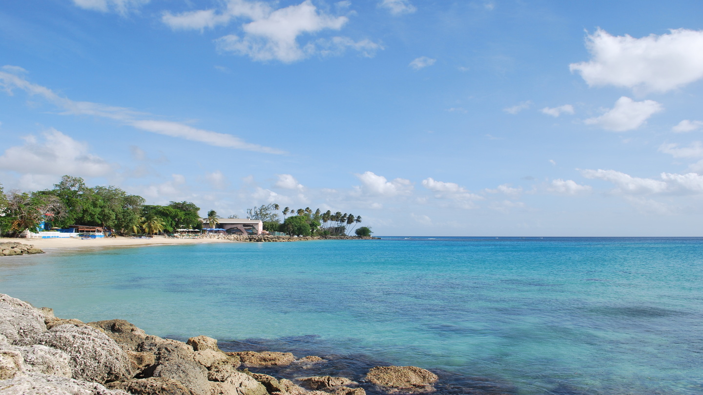 バルバドスの首都はブリッジタウン 歴史と理由を紹介 | NEWT（ニュート）